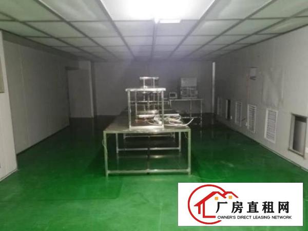 南栅工业区现成无尘车间1200平方，重工业厂房可放重型机器