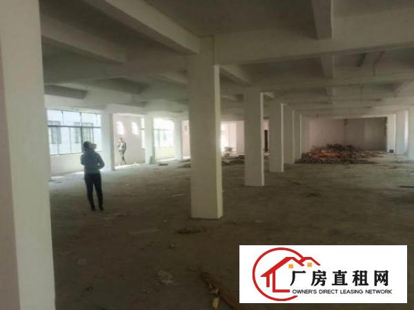 镇口工业区原房东独院二层楼2100平方出租，面积无公摊