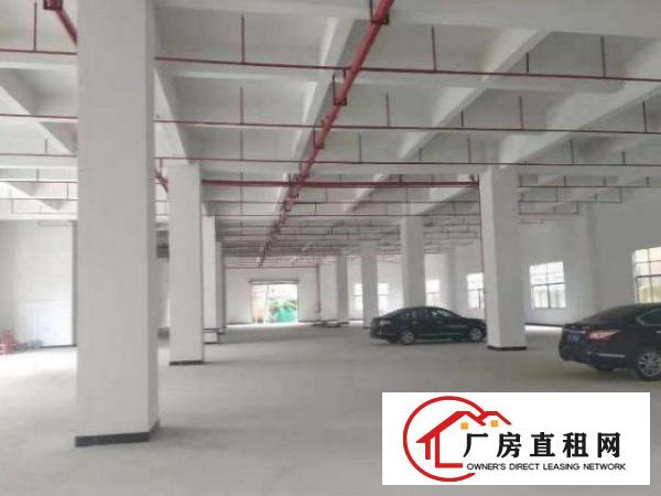  南栅工业区现成环评厂房500平方分租