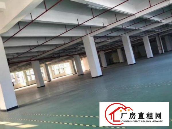  南栅工业区现成环评厂房500平方分租