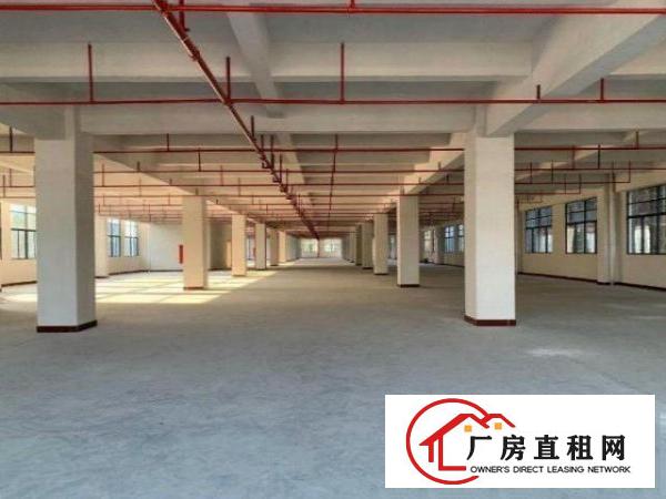  南栅工业区现成环评厂房500平方分租