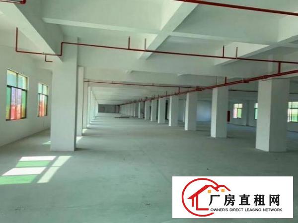  怀德工业区带喷淋标准厂房出租，证件齐备，可办环评