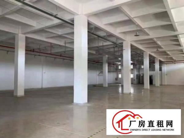  新联工业区厂房1400平出租带房产证，可做小污染包办环评