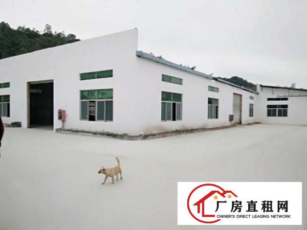  虎门沙角新出洗水漂染工业厂房2680平方招租（可分租）