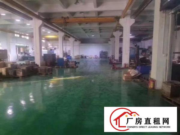  南栅原房东独院分租一楼1080平方6米高带行车