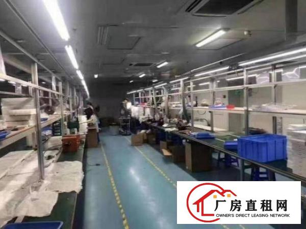  居岐工业区楼上豪华装修1000平方厂房出租搬机即可生产