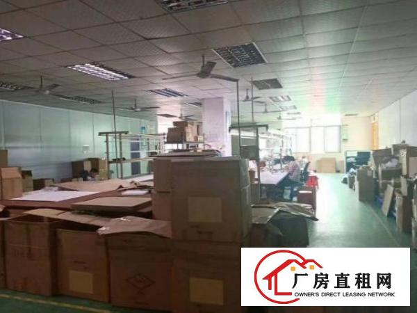  树田工业区楼上1500平方厂房出租，精装修办公室