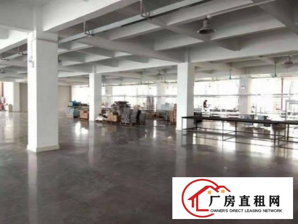  新联工业区红本厂房1000方独门独院，可分租，可办环评