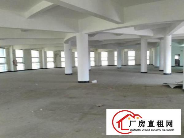 怀德工业区原房东小独院标准厂房1200平米包办环评