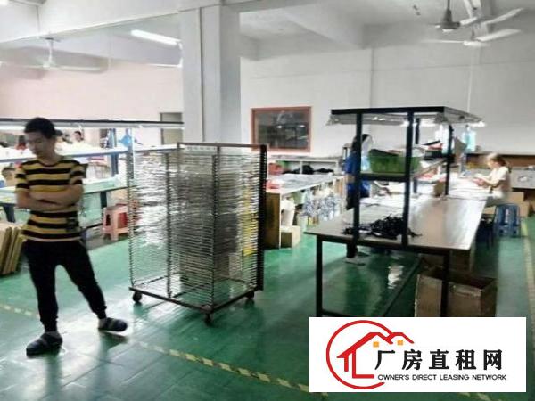  白沙新出楼上500平豪华装修原房东厂房出租