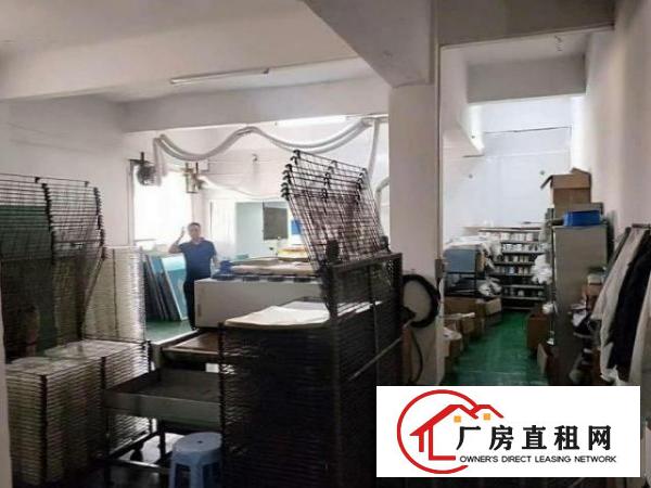  白沙新出楼上500平豪华装修原房东厂房出租