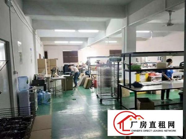  白沙新出楼上500平豪华装修原房东厂房出租