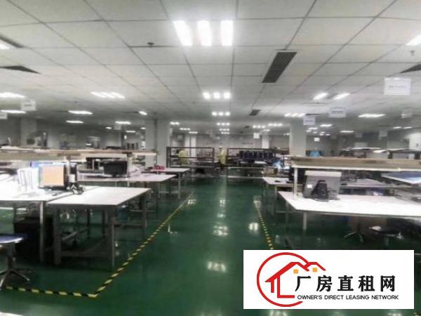  龙眼工业区一楼2500平方精装修厂房带地坪漆，带前台
