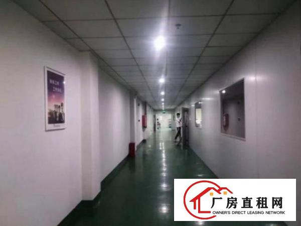  龙眼工业区一楼2500平方精装修厂房带地坪漆，带前台