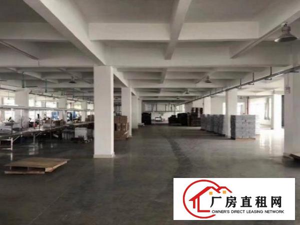  南栅独门独院单一层400平厂房出租水电齐全