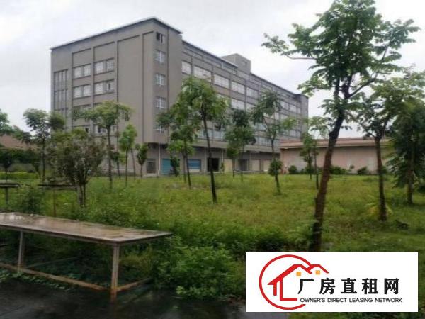  南栅独门独院单一层400平厂房出租水电齐全