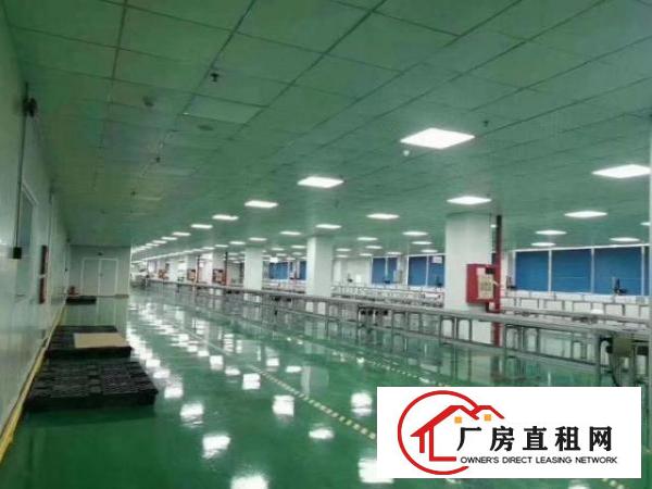  金洲新出一楼1500平带阁楼办公室厂房招租