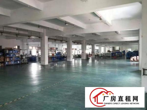 金洲新出一楼1500平带阁楼办公室厂房招租