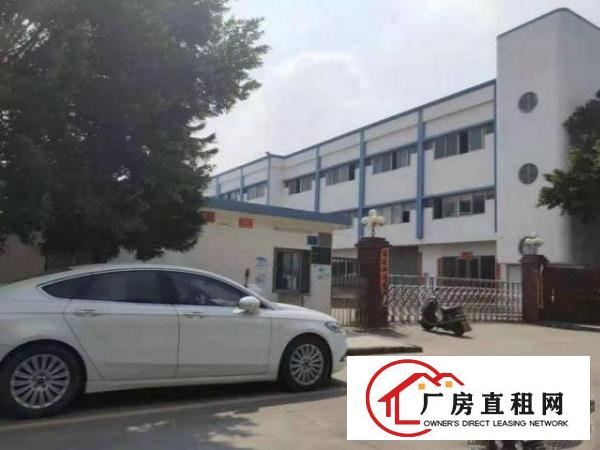  金洲新出一楼1500平带阁楼办公室厂房招租