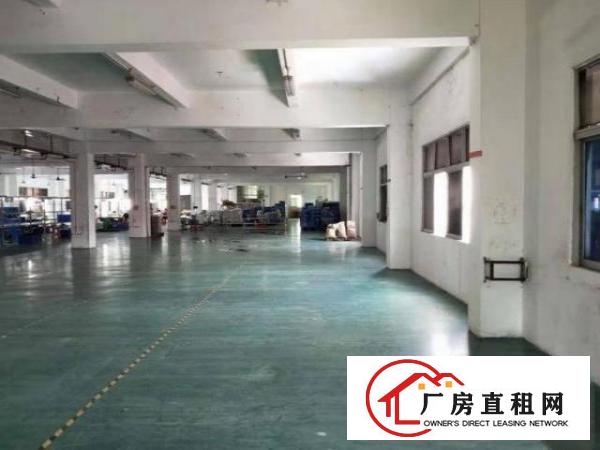  金洲新出一楼1500平带阁楼办公室厂房招租