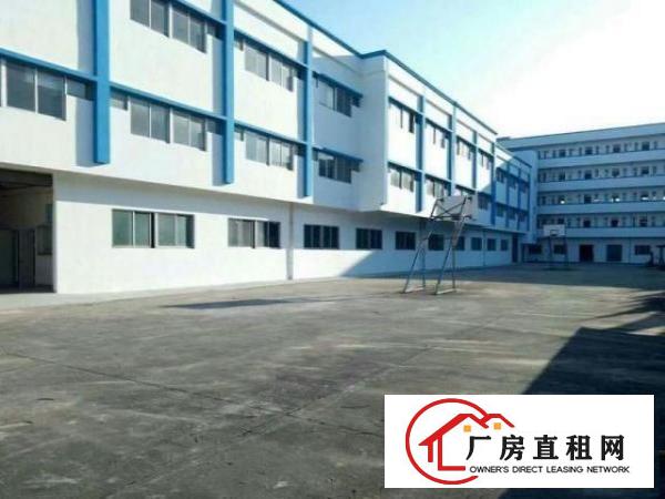  金洲新出一楼1500平带阁楼办公室厂房招租