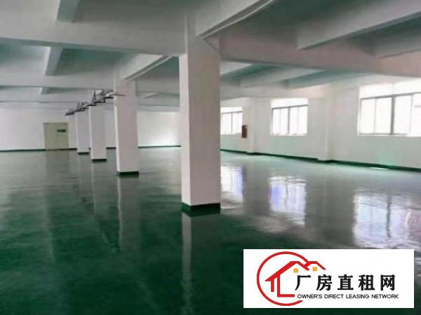  树田工业区原房东2万厂房300平方分租一楼仓库可办环评