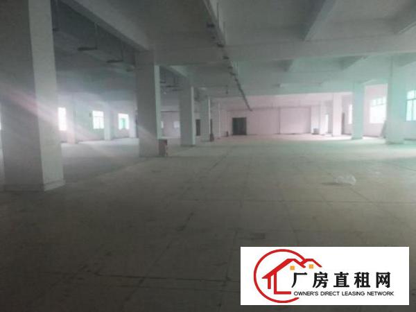  赤岗800平方原房东独院标准厂房出租，证齐可办环评