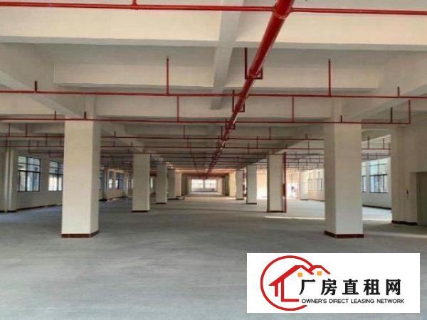  怀德工业区新出独院标准两层厂房1200平方分租
