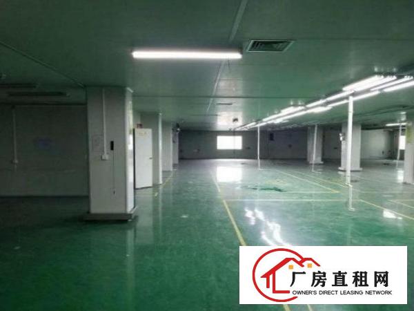  怀德工业区新出独院标准两层厂房1200平方分租