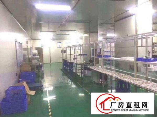  镇口新出楼上1000平带精装豪华装修厂房出租