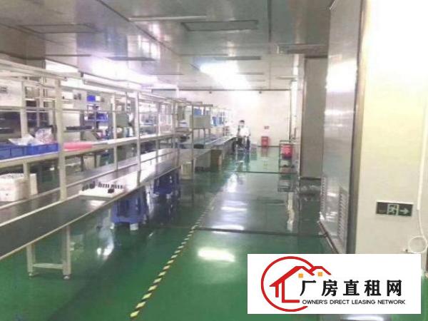 镇口新出楼上1000平带精装豪华装修厂房出租