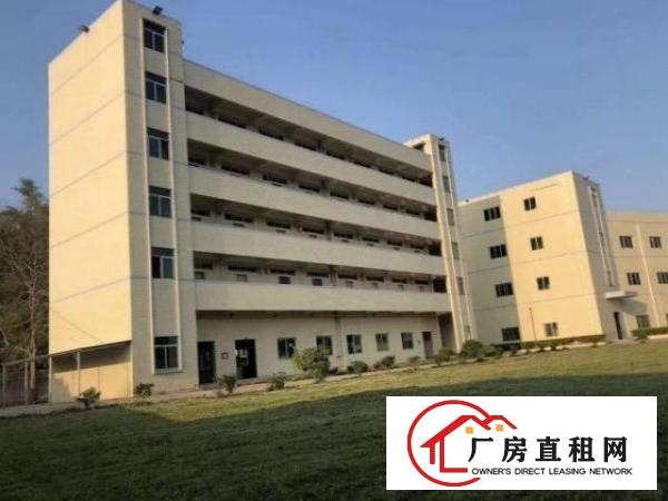  金洲1000平方，可办环评，周边形象好可办环评