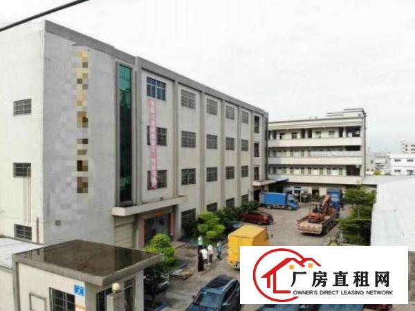  树田新出精装修1500平厂房两个全新货梯，可办环评