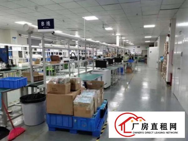  树田新出精装修1500平厂房两个全新货梯，可办环评