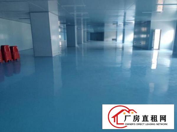  现成无尘车间厂房出租，上市公司形象，空地超大，即搬即用