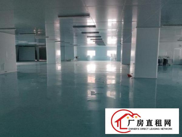  现成无尘车间厂房出租，上市公司形象，空地超大，即搬即用