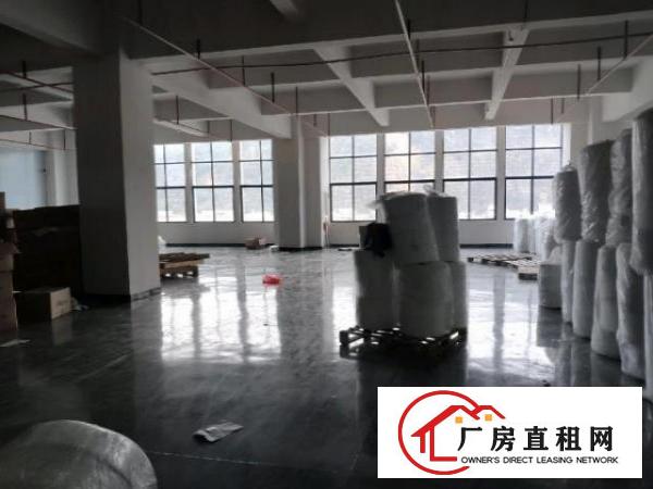  现成无尘车间厂房出租，上市公司形象，空地超大，即搬即用