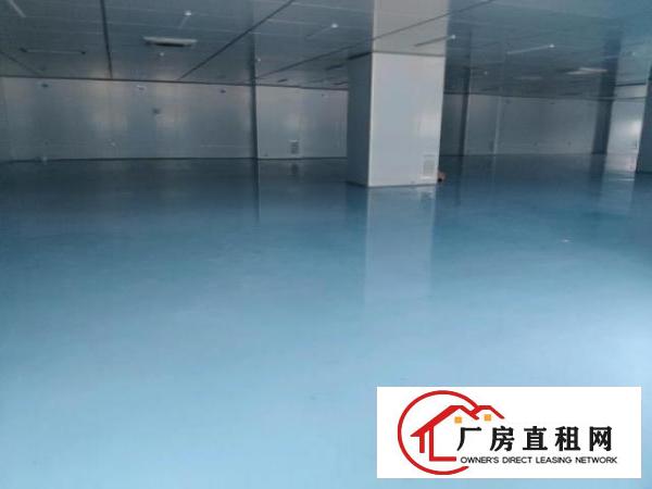  现成无尘车间厂房出租，上市公司形象，空地超大，即搬即用