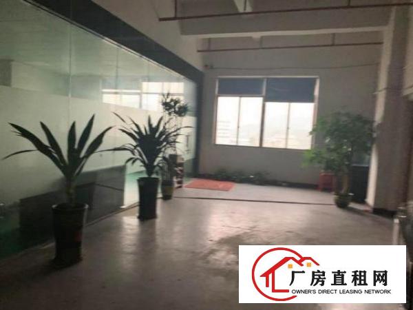  树田新出精装修1500平厂房两个全新货梯，可办环评
