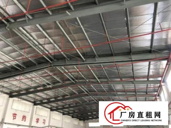  白沙新出单一层厂房2500平，钢结构有办公室出租