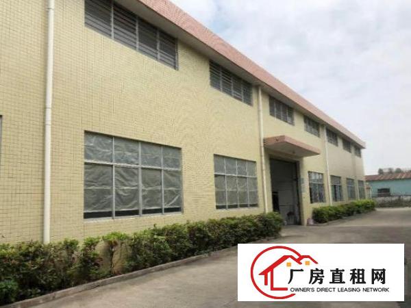  白沙新出单一层厂房2500平，钢结构有办公室出租