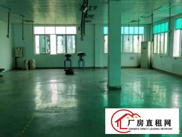  大宁1200平招租独门独院水电办公室齐全