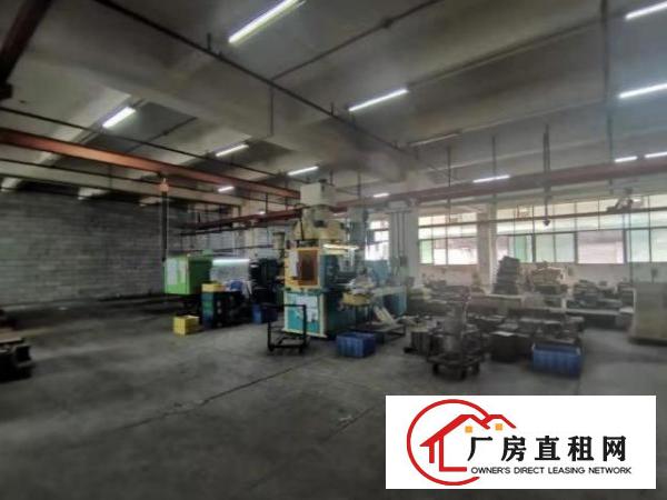  树田标准厂房1楼700平方出租，有环评