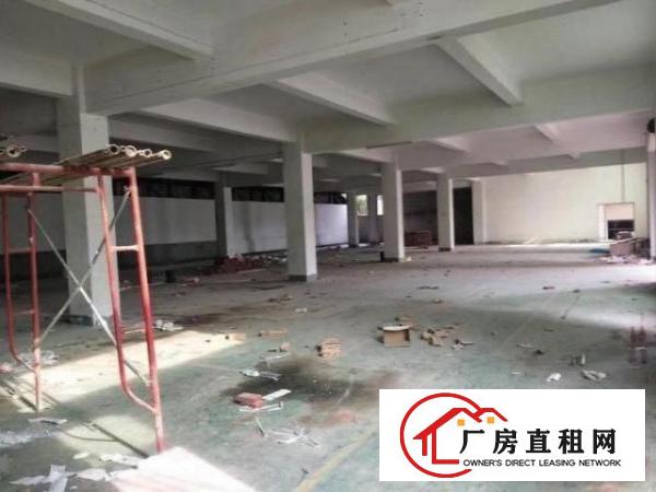  龙眼工业区分租标准厂房一楼1200平米水电齐全
