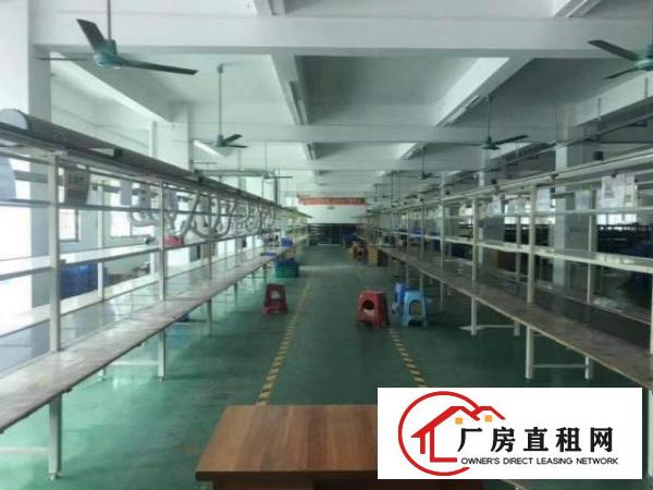  宴岗工业区新出原房东楼上650平方带精装修招租