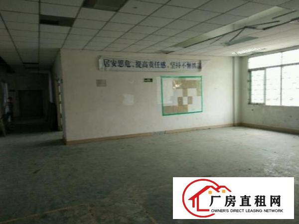  虎门树田工业区独院厂房出租4500平米，大小可分租