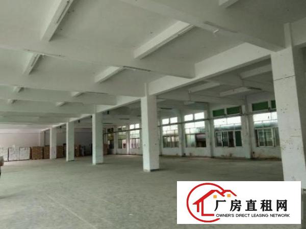  虎门树田工业区独院厂房出租4500平米，大小可分租