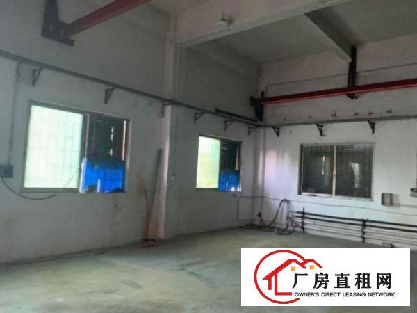  一楼带牛角新空出厂房860平米行车免费使用
