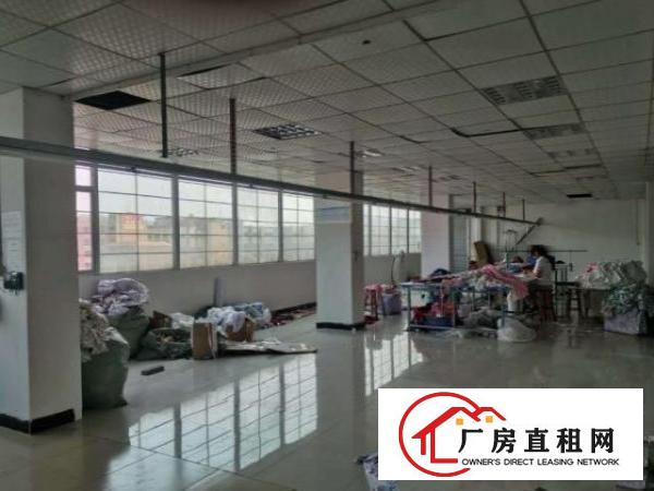  树田有六楼960厂房出租精装修水电齐全，交通方便