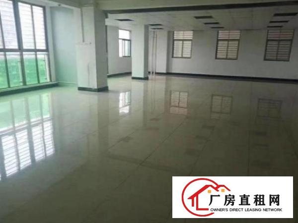 南栅空出二楼750平米水电齐全,可办环评